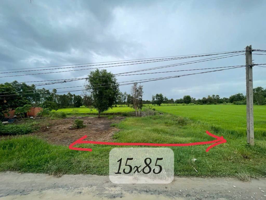 Bất động sản tại Long An - ảnh 1