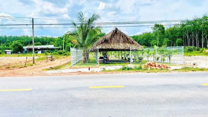 Bất động sản tại Bình Dương - ảnh 1