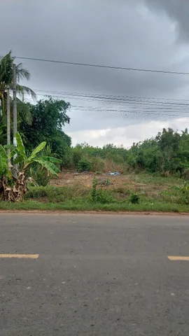 Bất động sản tại Tây Ninh - ảnh 1