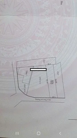 Bất động sản tại Đà Nẵng - ảnh 1