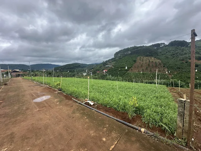 Bất động sản tại Lâm Đồng - ảnh 1