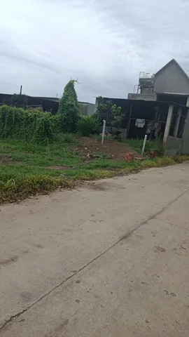 Bất động sản tại Bình Dương - ảnh 1