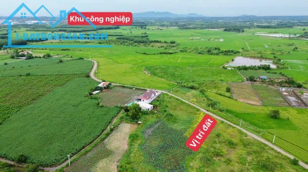 Bất động sản tại Bà Rịa - Vũng Tàu - ảnh 1