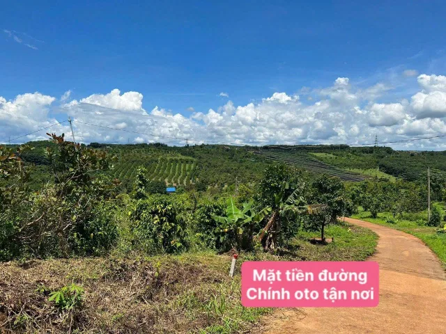 Bất động sản tại Lâm Đồng - ảnh 1