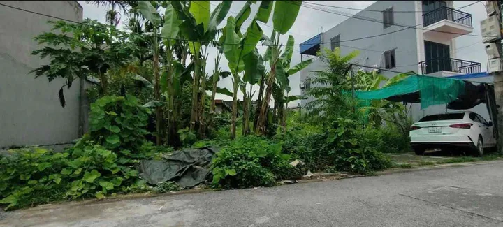 Bất động sản tại Hải Phòng - ảnh 1