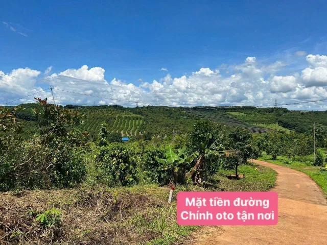 Bất động sản tại Lâm Đồng - ảnh 1