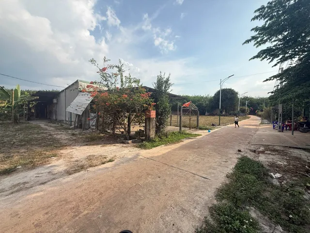 Bất động sản tại Đồng Nai - ảnh 1