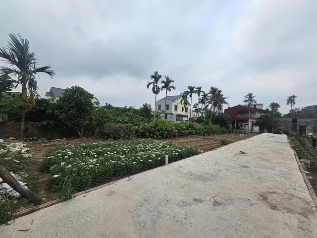 Bất động sản tại Hải Phòng - ảnh 1