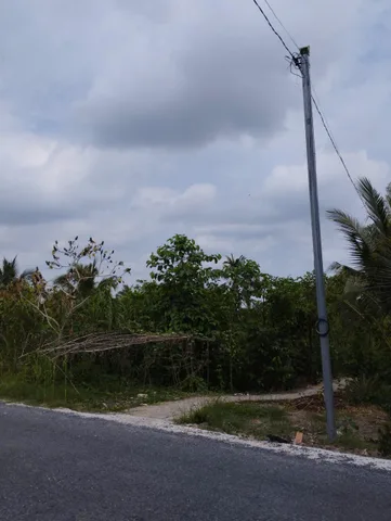 Bất động sản tại Cần Thơ - ảnh 1