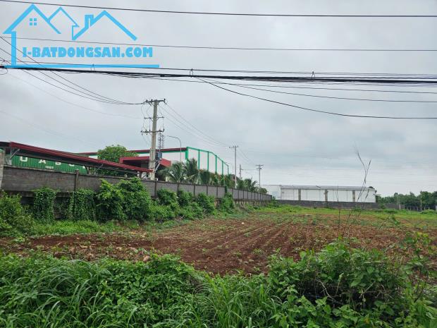 Bất động sản tại Bà Rịa - Vũng Tàu - ảnh 1
