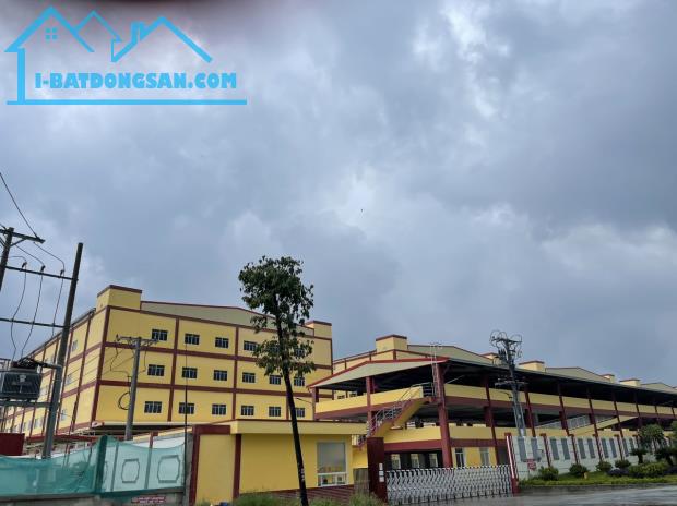 Bất động sản tại Bình Dương - ảnh 1