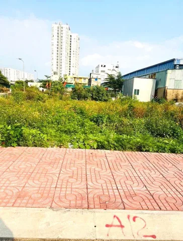 Bất động sản tại TP. Hồ Chí Minh - ảnh 1