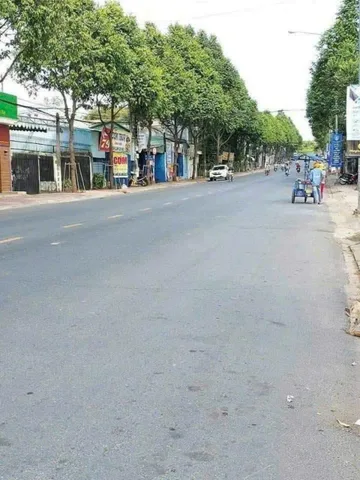 Bất động sản tại Bình Dương - ảnh 1