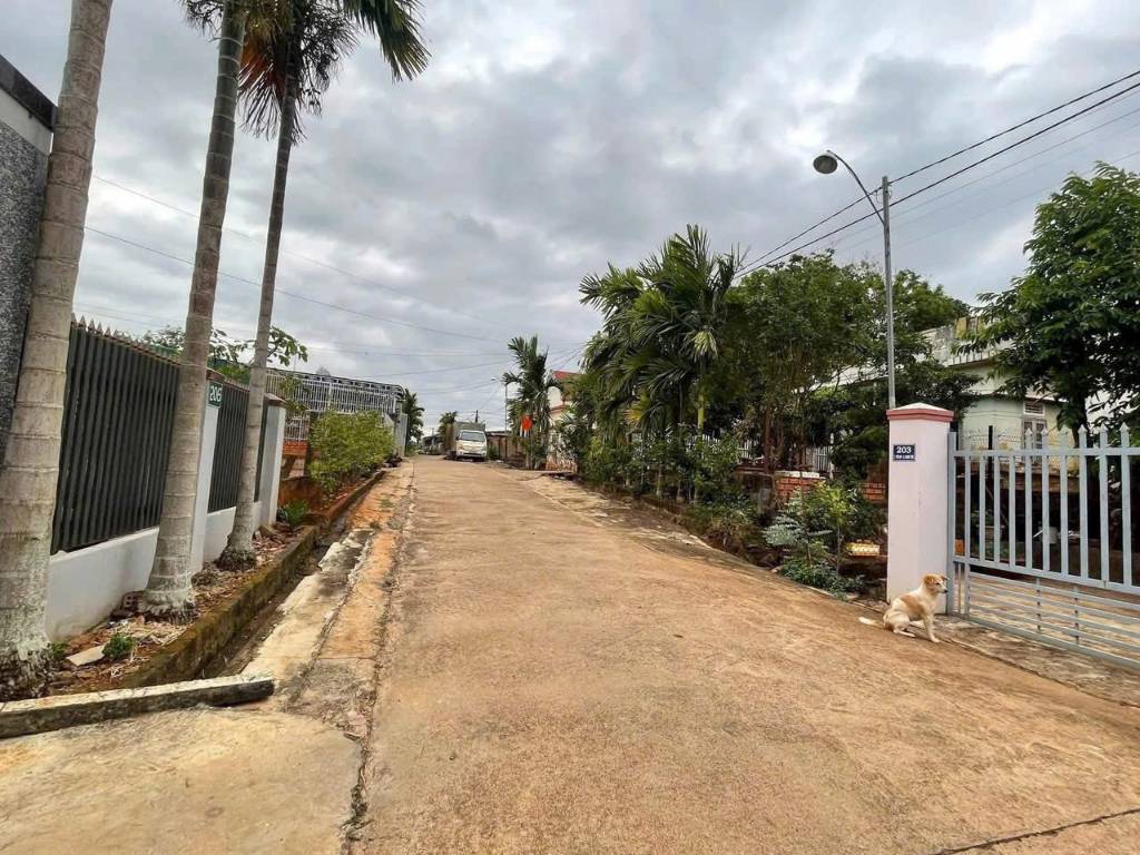 Bất động sản tại Bình Dương - ảnh 1