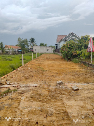 Bất động sản tại Long An - ảnh 1