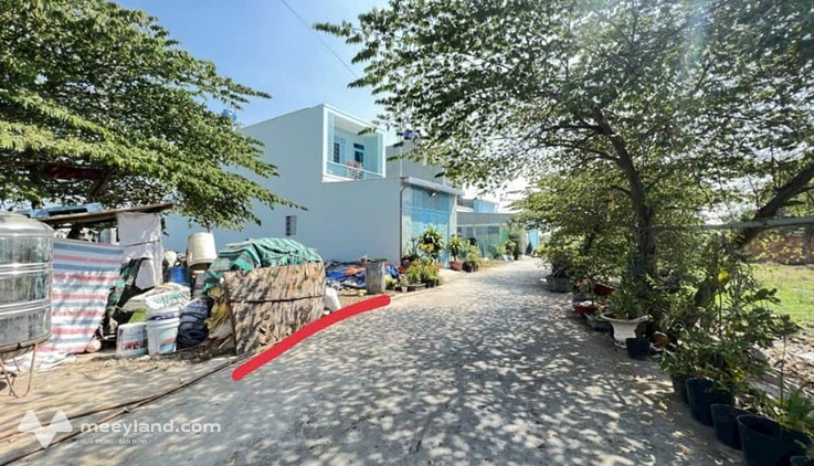 Bất động sản tại Long An - ảnh 1