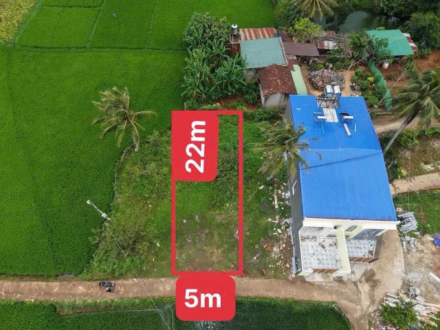 Bất động sản tại Đắk Lắk - ảnh 1