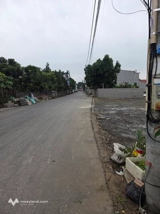 Bất động sản tại Hưng Yên - ảnh 1