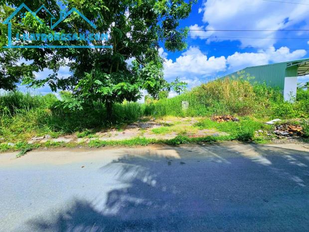 Bất động sản tại Cần Thơ - ảnh 1