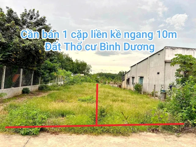 Bất động sản tại Bình Dương - ảnh 1