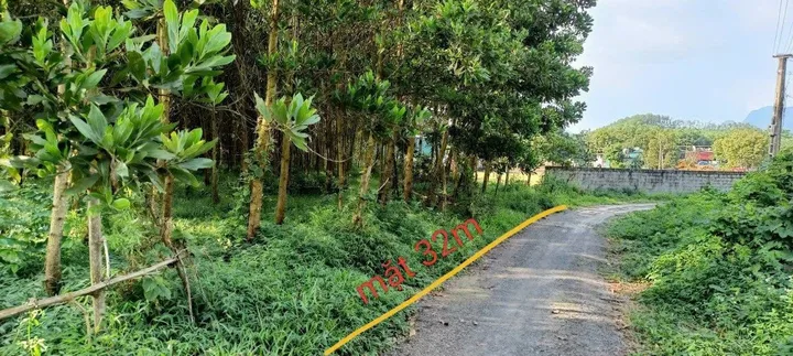 Bất động sản tại Phú Thọ - ảnh 1