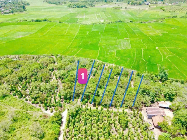 Bất động sản tại Đắk Lắk - ảnh 1