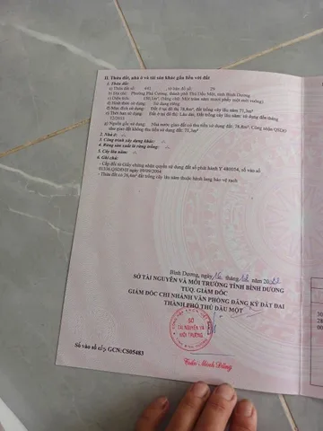 Bất động sản tại Bình Dương - ảnh 1