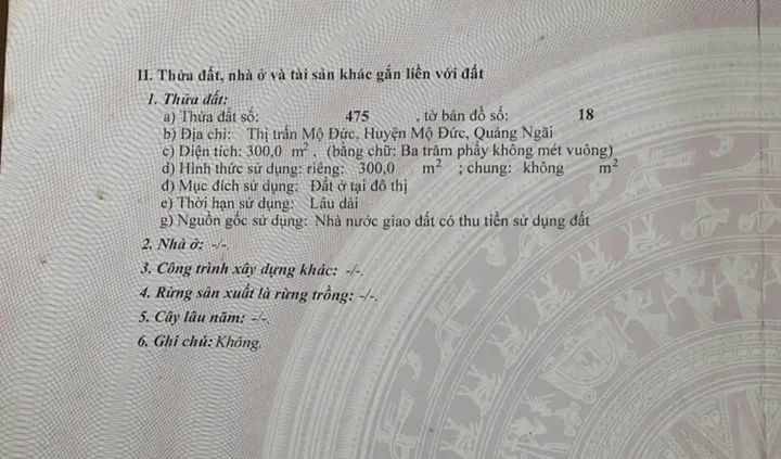 Bất động sản tại Quảng Ngãi - ảnh 1