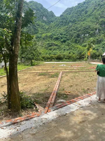 Bất động sản tại Hòa Bình - ảnh 1