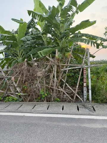 Bất động sản tại Hải Phòng - ảnh 1