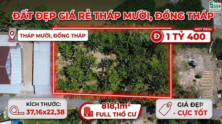 Bất động sản tại Đồng Tháp - ảnh 1