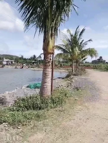 Bất động sản tại Lâm Đồng - ảnh 1