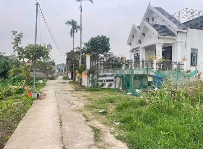 Bất động sản tại Hải Phòng - ảnh 1
