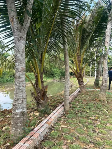 Bất động sản tại Hòa Bình - ảnh 1