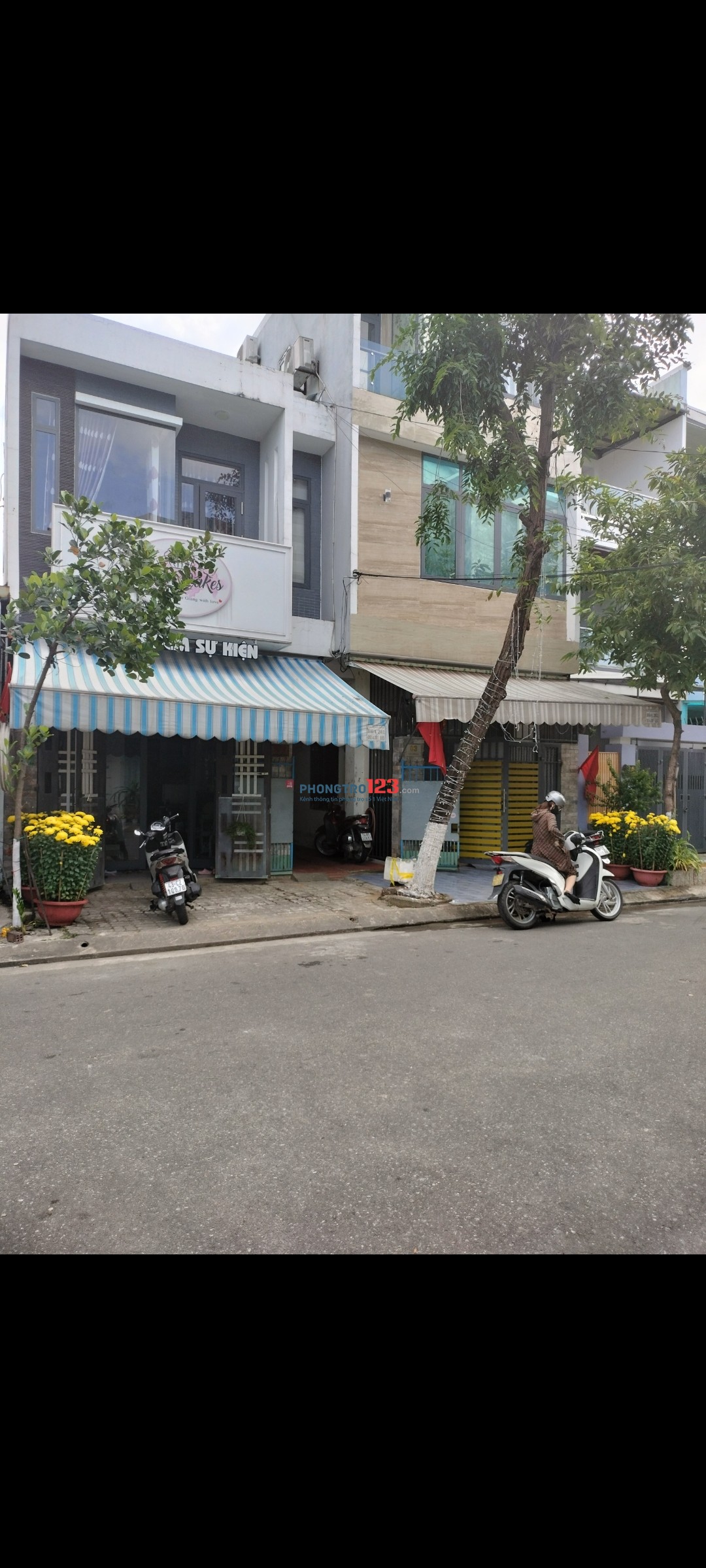 Bất động sản tại Đà Nẵng - ảnh 1