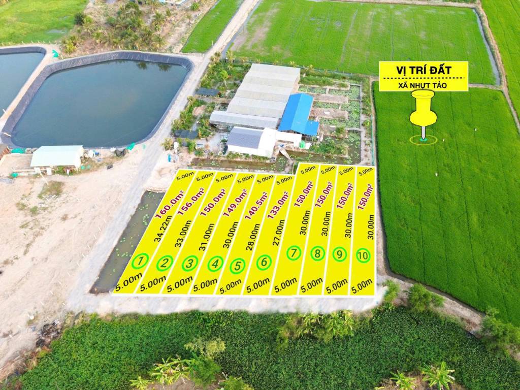 Bất động sản tại Long An - ảnh 1