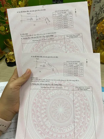 Bất động sản tại Lâm Đồng - ảnh 1