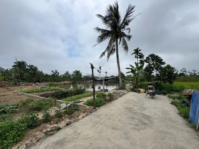 Bất động sản tại Hải Phòng - ảnh 1