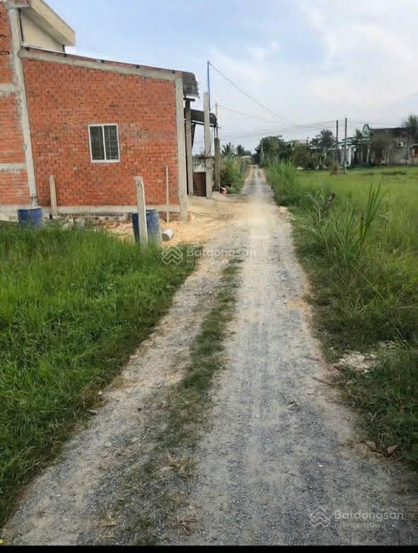 Bất động sản tại Long An - ảnh 1