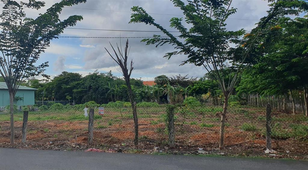 Bất động sản tại Bà Rịa - Vũng Tàu - ảnh 1