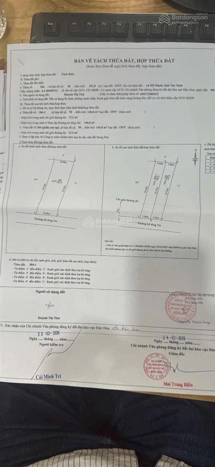 Bất động sản tại Long An - ảnh 1