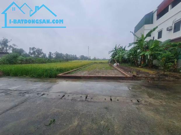 Bất động sản tại Lâm Đồng - ảnh 1