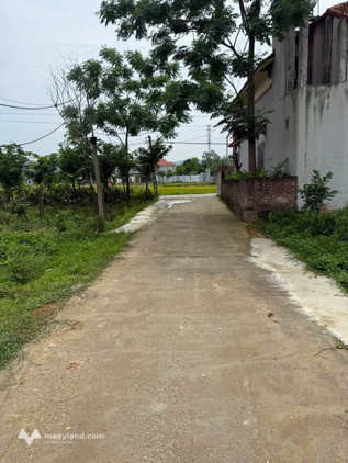 Bất động sản tại Vĩnh Phúc - ảnh 1