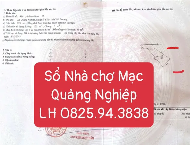 Bất động sản tại Hải Phòng - ảnh 1