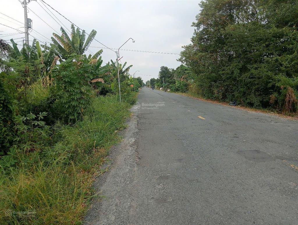 Bất động sản tại Tiền Giang - ảnh 1