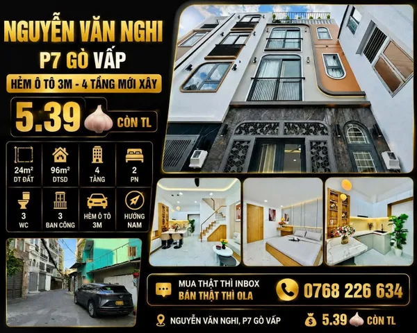 Bất động sản tại TP. Hồ Chí Minh - ảnh 1