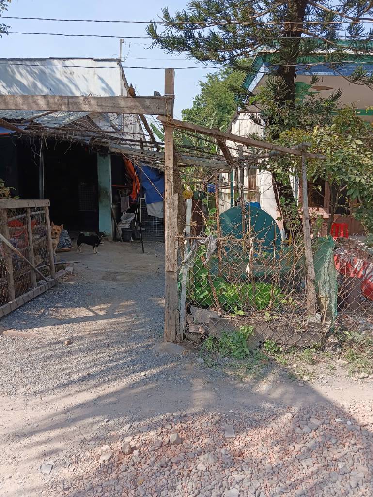 Bất động sản tại Bình Dương - ảnh 1