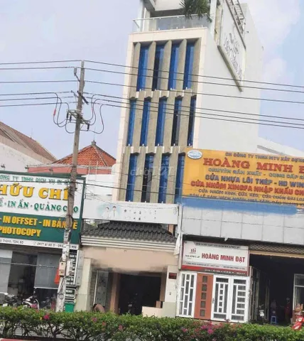Bất động sản tại Bình Dương - ảnh 1