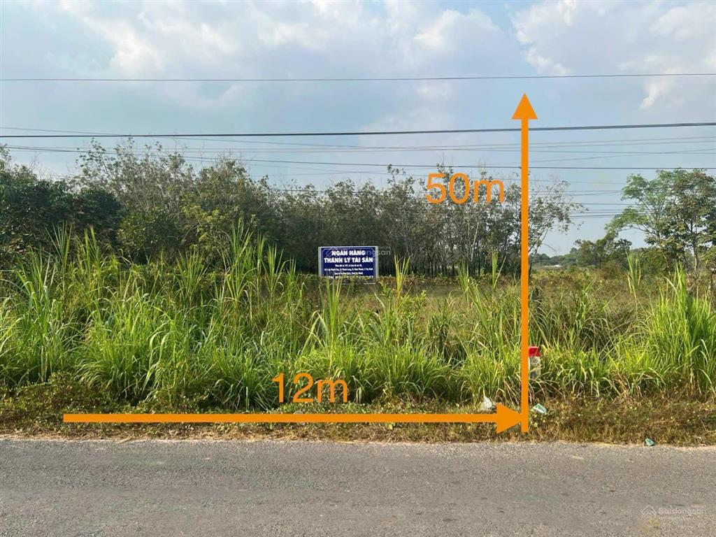 Bất động sản tại Tây Ninh - ảnh 1