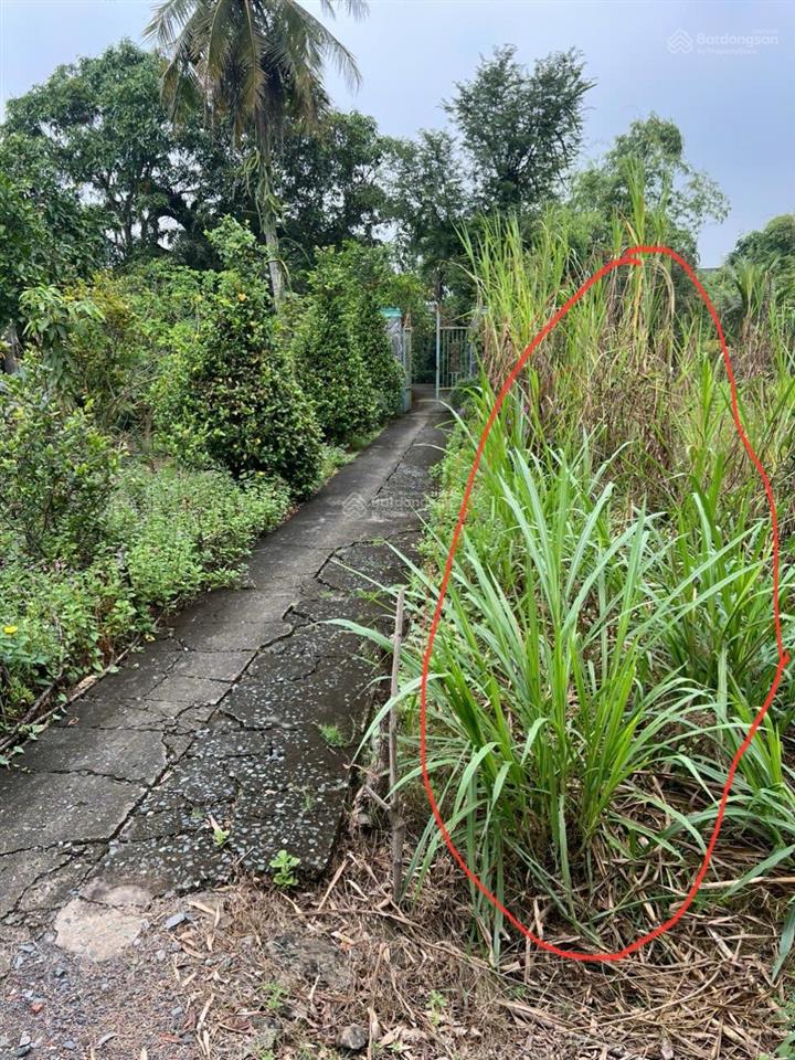 Bất động sản tại Long An - ảnh 1
